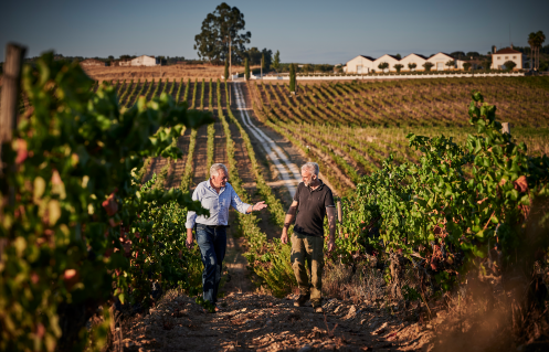 Zambujeiro Alentejo